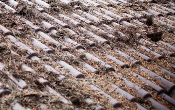 Lydiard Tregoze roof cleaning companies